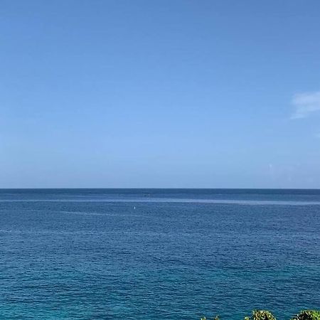 Irie Vibes Ocean View Villa Negril Exterior foto